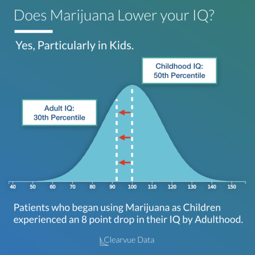 Marijuana and IQ thumbnail